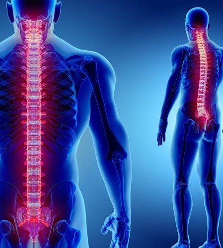 osteoarthritis-pain-img